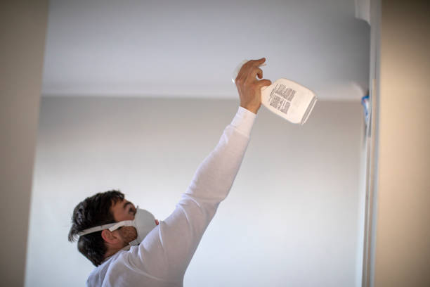 Best Water Damage Restoration  in Homeland, GA