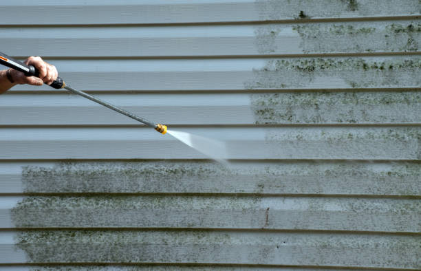 Best Mold Cleaning Services  in Homeland, GA